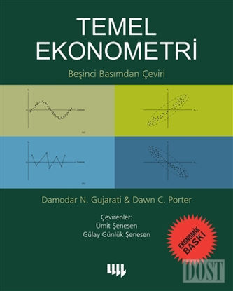 Temel Ekonometri (Ekonomik Baskı)